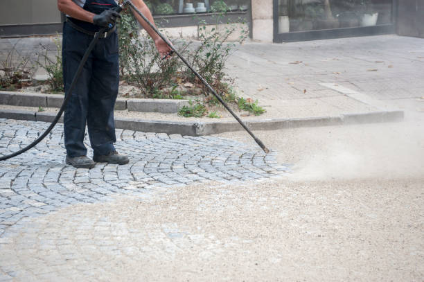 Best Driveway Cleaning and Restoration in Circle Pines, MN